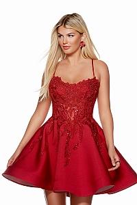 Alyce Paris Dress 3117