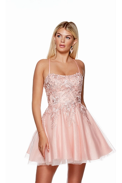 Alyce Paris Dress 3152