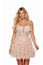 Alyce Paris Dress 3171