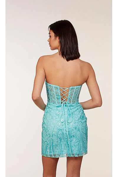Alyce Paris Dress 4616 Alyce Paris Dress 4616