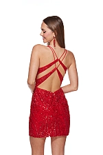 Alyce Paris Dress 4617