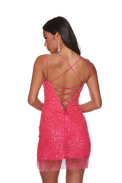 Alyce Paris Dress 4623 Alyce Paris Dress 4623