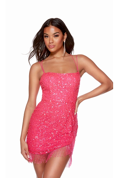 Alyce Paris Dress 4623 Alyce Paris Dress 4623