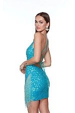 Alyce Paris Dress 4624