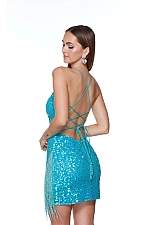 Alyce Paris Dress 4624