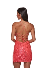 Alyce Paris Dress 4624