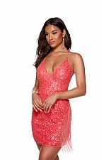 Alyce Paris Dress 4624