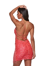 Alyce Paris Dress 4624