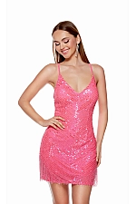 Alyce Paris Dress 4627 Alyce Paris Dress 4627
