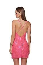 Alyce Paris Dress 4627 Alyce Paris Dress 4627