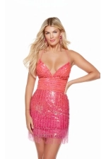 Alyce Paris Dress 4634
