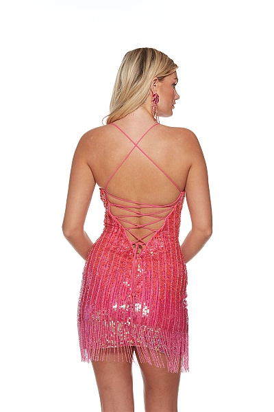 Alyce Paris Dress 4634