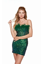 Alyce Paris Dress 4637 Alyce Paris Dress 4637