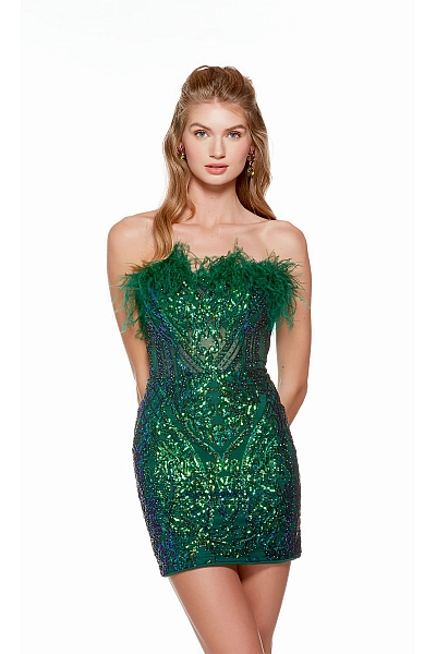 Alyce Paris Dress 4637 Alyce Paris Dress 4637