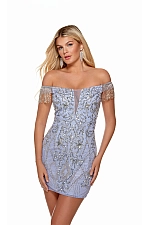 Alyce Paris Dress 4638