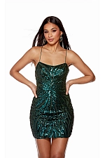 Alyce Paris Dress 4654 Alyce Paris Dress 4654