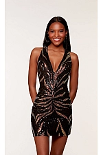 Alyce Paris Dress 4655 Alyce Paris Dress 4655