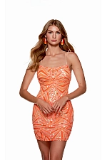 Alyce Paris Dress 4658