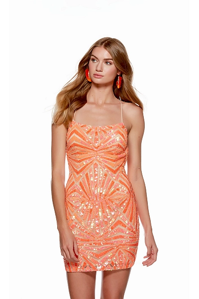 Alyce Paris Dress 4658