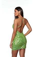 Alyce Paris Dress 4658