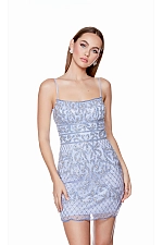 Alyce Paris Dress 4660