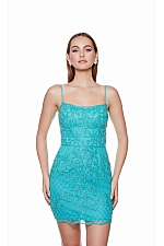 Alyce Paris Dress 4660