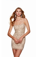 Alyce Paris Dress 4660