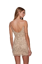 Alyce Paris Dress 4660