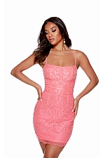 Alyce Paris Dress 4660