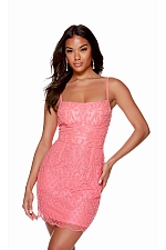 Alyce Paris Dress 4660