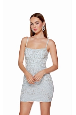 Alyce Paris Dress 4660
