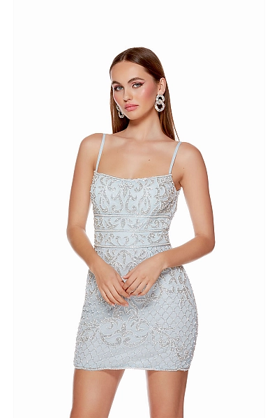 Alyce Paris Dress 4660