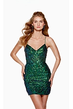 Alyce Paris Dress 4664