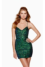 Alyce Paris Dress 4664