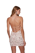 Alyce Paris Dress 4666 Alyce Paris Dress 4666