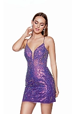 Alyce Paris Dress 4674 Alyce Paris Dress 4674