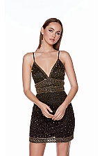 Alyce Paris Dress 4679