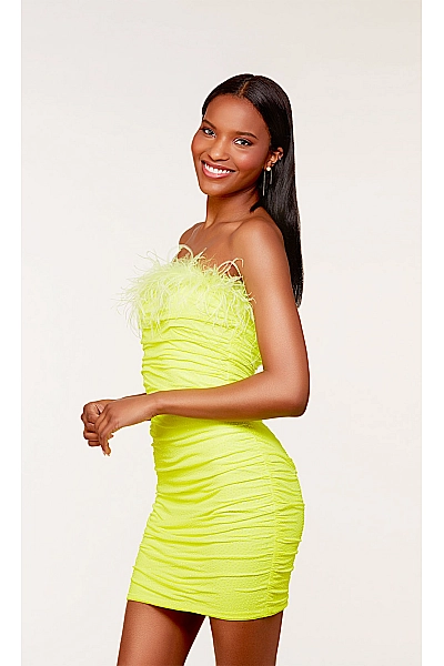 Alyce Paris Dress 4728