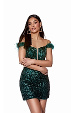 Alyce Paris Dress 4768