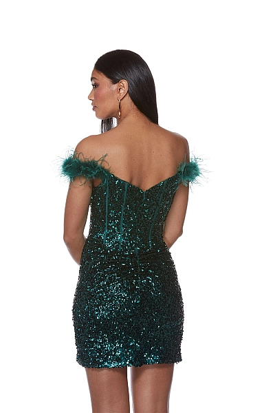 Alyce Paris Dress 4768