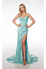 Alyce Paris Dress 61490 Alyce Paris Dress 61490