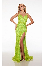 Alyce Paris Dress 61555