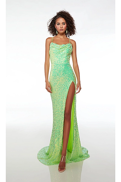 Alyce Paris Dress 61588 Alyce Paris Dress 61588