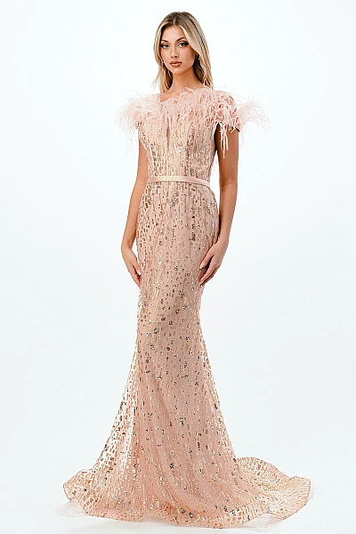 Ladivine Dress CB082