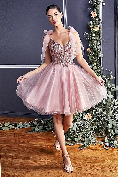 Ladivine Dress CD0174