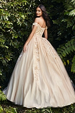 Ladivine Dress CD0185