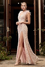 Cinderella Divine CD248 Dress Cinderella Divine CD248 Dress