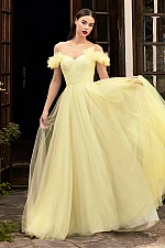 Ladivine Dress CD957