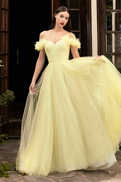 Ladivine Dress CD957