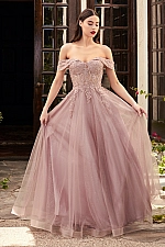 Ladivine Dress CD961
